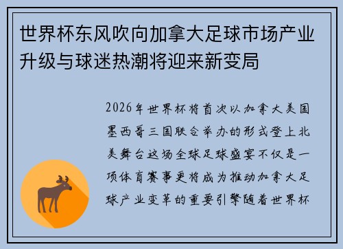 世界杯东风吹向加拿大足球市场产业升级与球迷热潮将迎来新变局